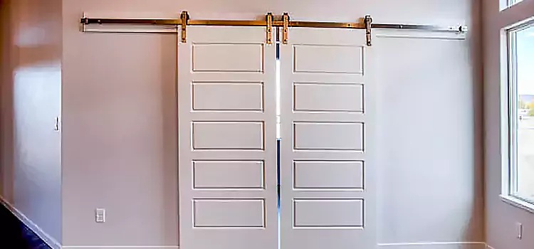 Glass Barn Door with Installation Hardware Kit Jeffersonville
