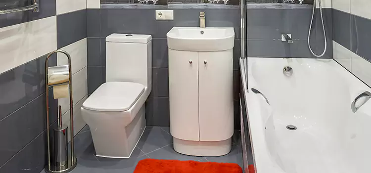 Hansgrohe Shaving Mirror Jeffersonville
